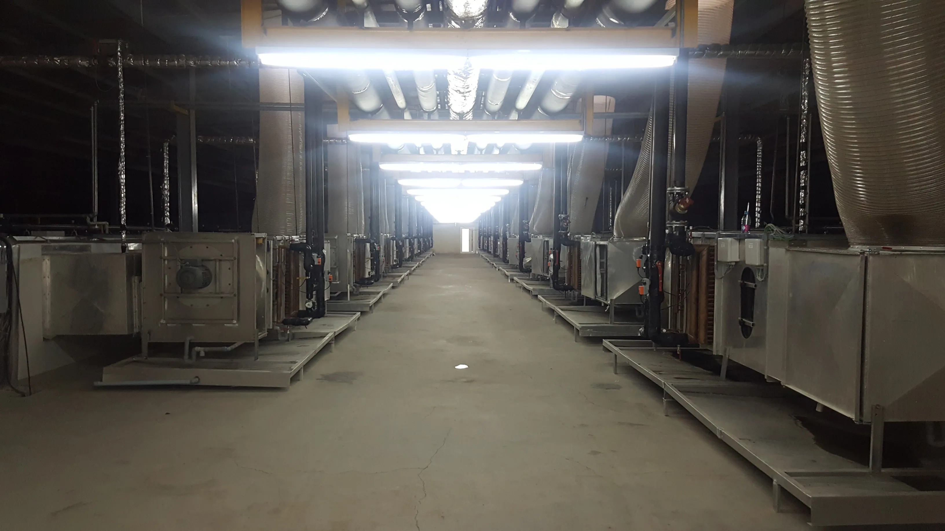PS Group mushroom cultivation facility