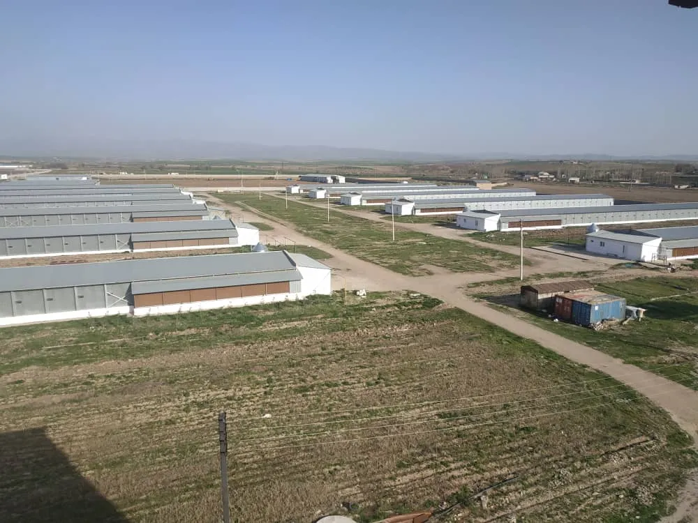Nasir Mushroom and Compost Farm