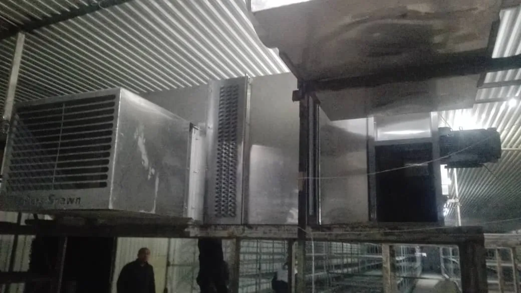 Sadaf Mushroom facility — production floor overview