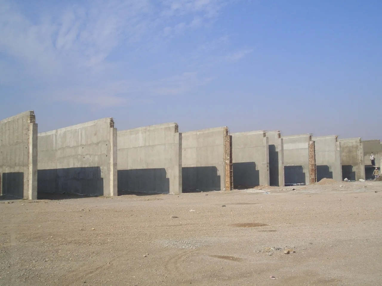 Sadaf Mushroom facility — production floor overview