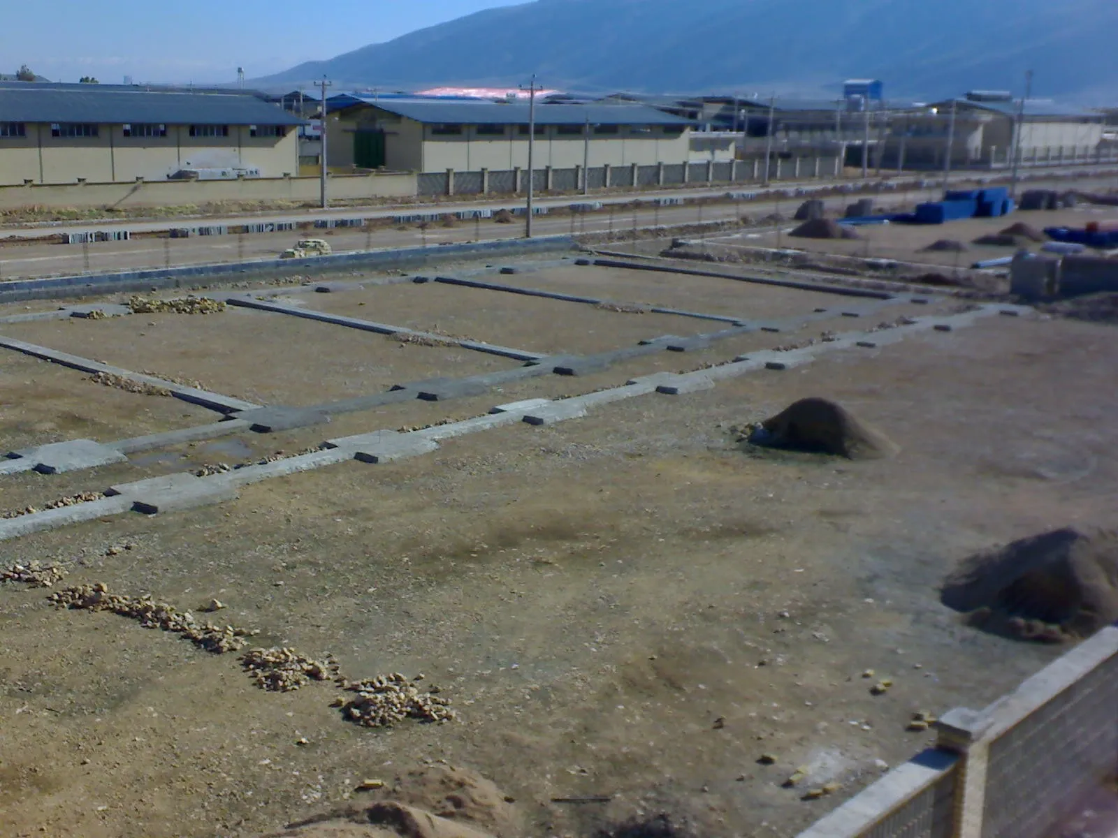 Sadaf Mushroom facility — production floor overview