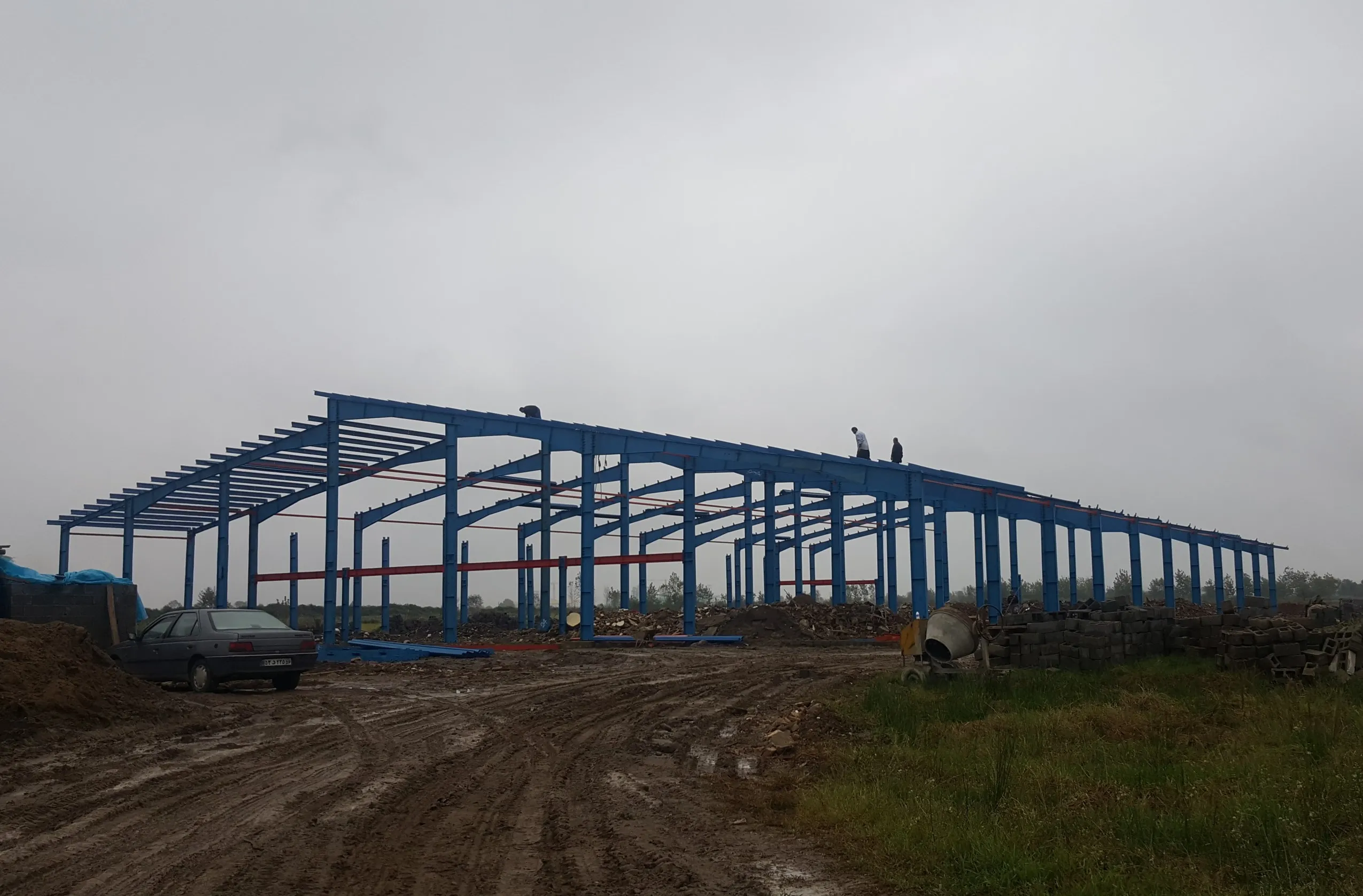 Sadaf Mushroom facility — production floor overview