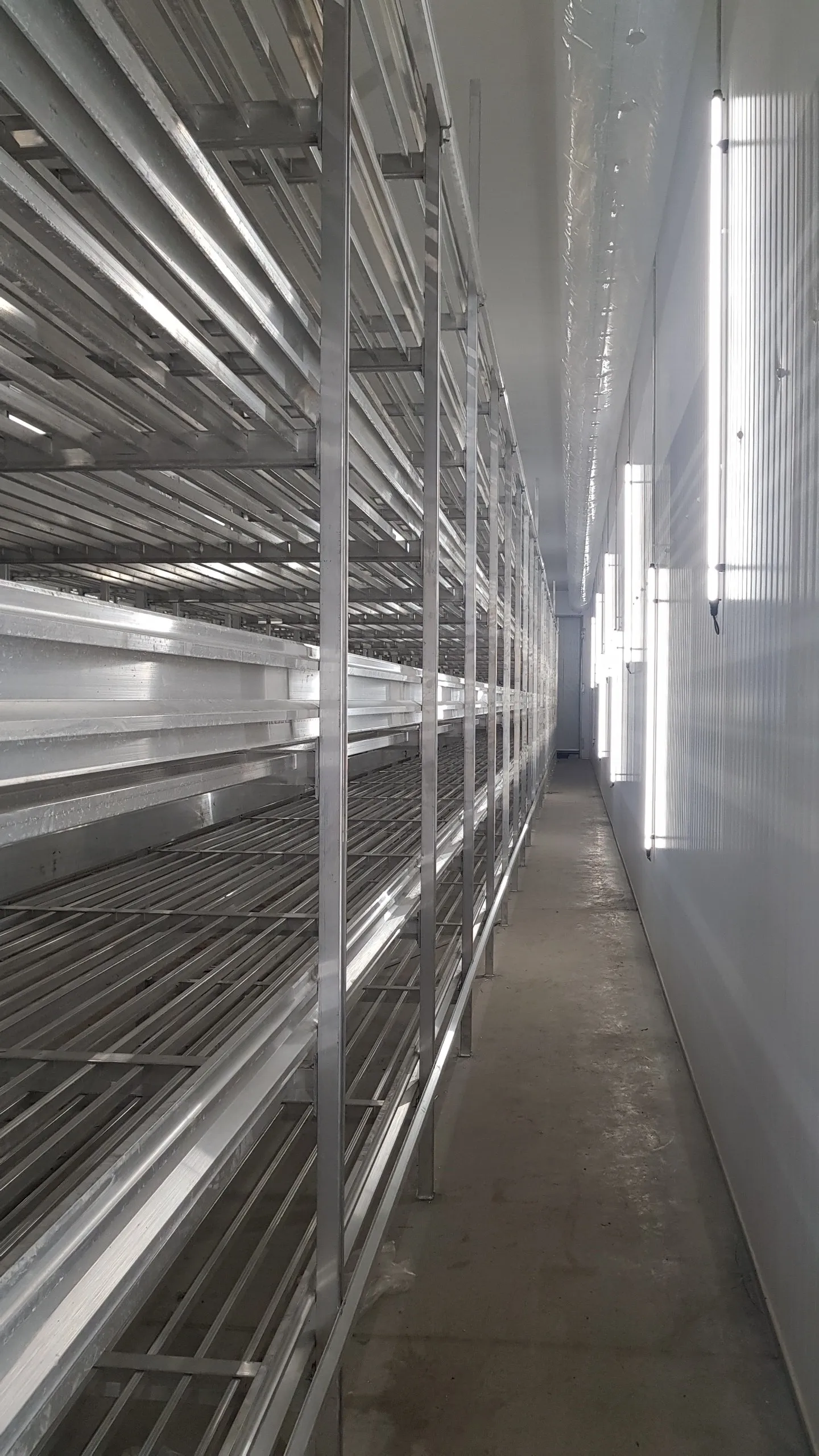 Sadaf Mushroom facility — production floor overview