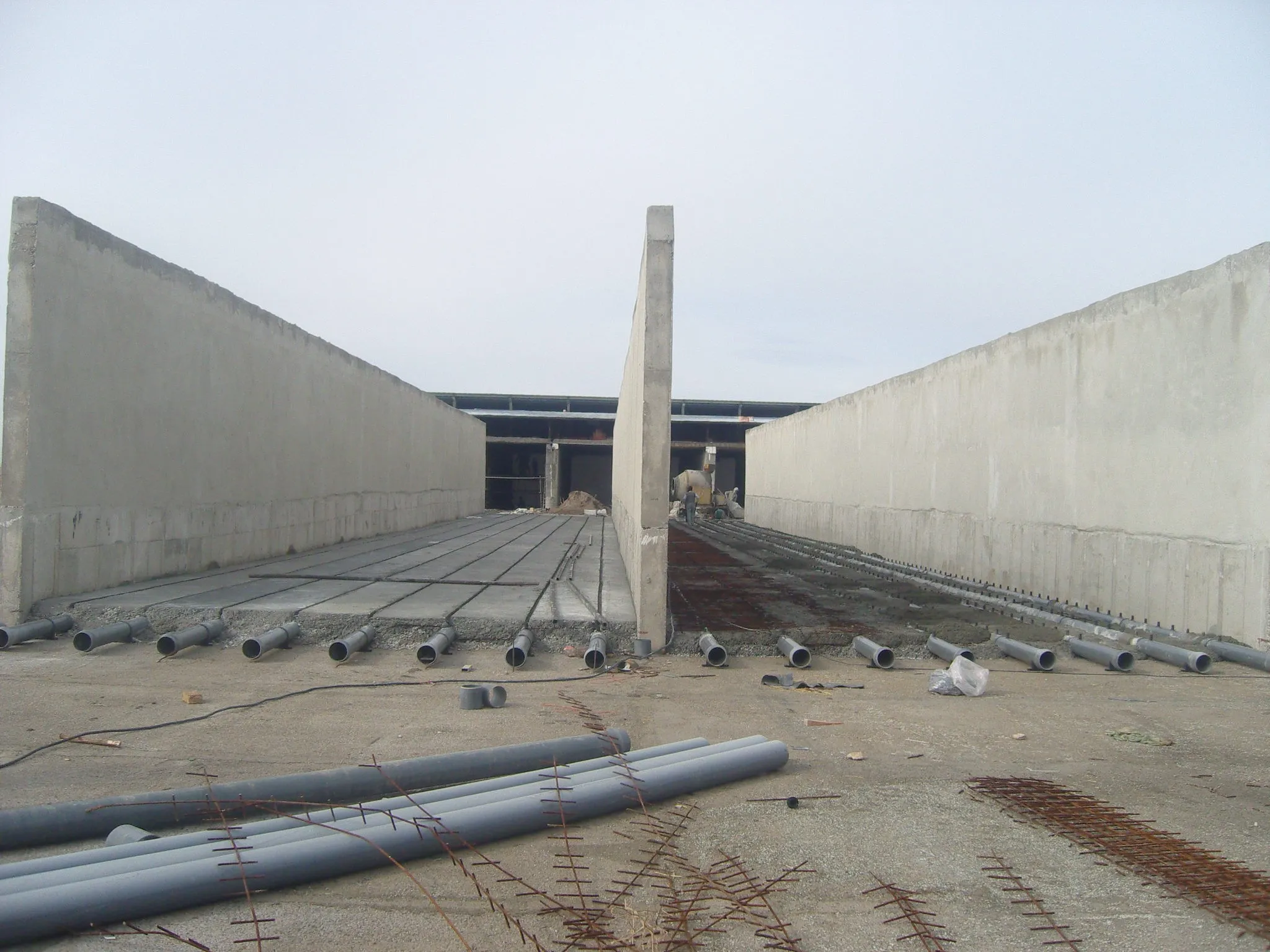 Sadaf Mushroom facility — production floor overview