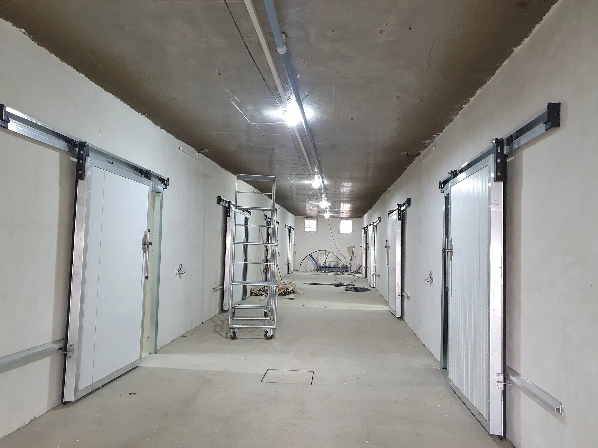 Sadaf Mushroom facility — production floor overview
