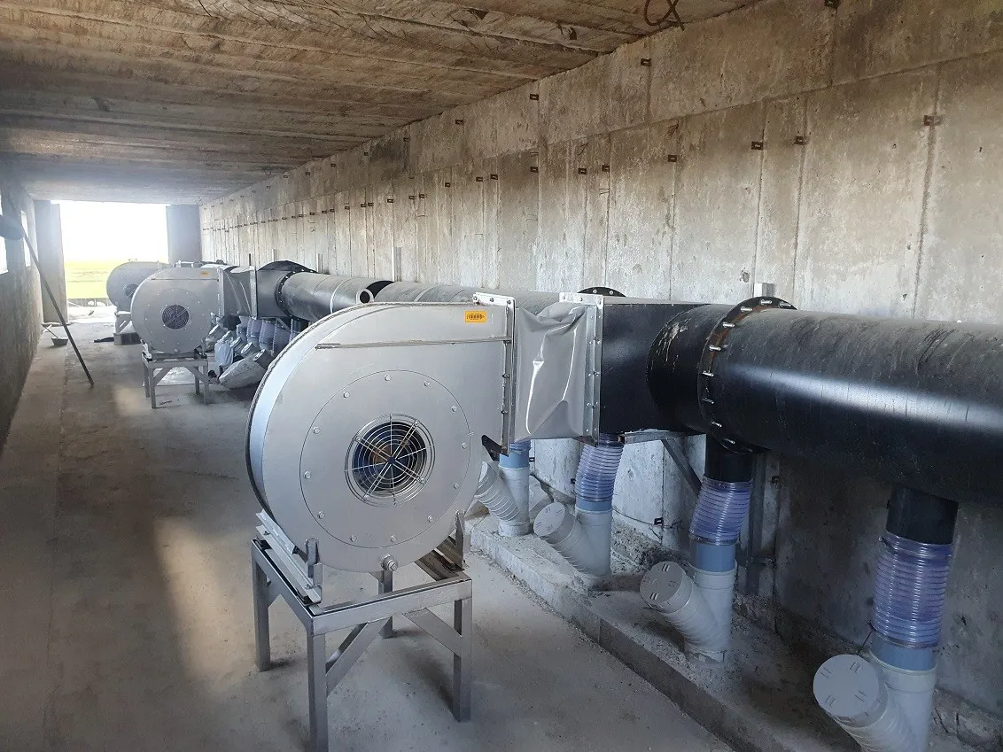 Aluminium shelving in Sadaf grow rooms — portrait view