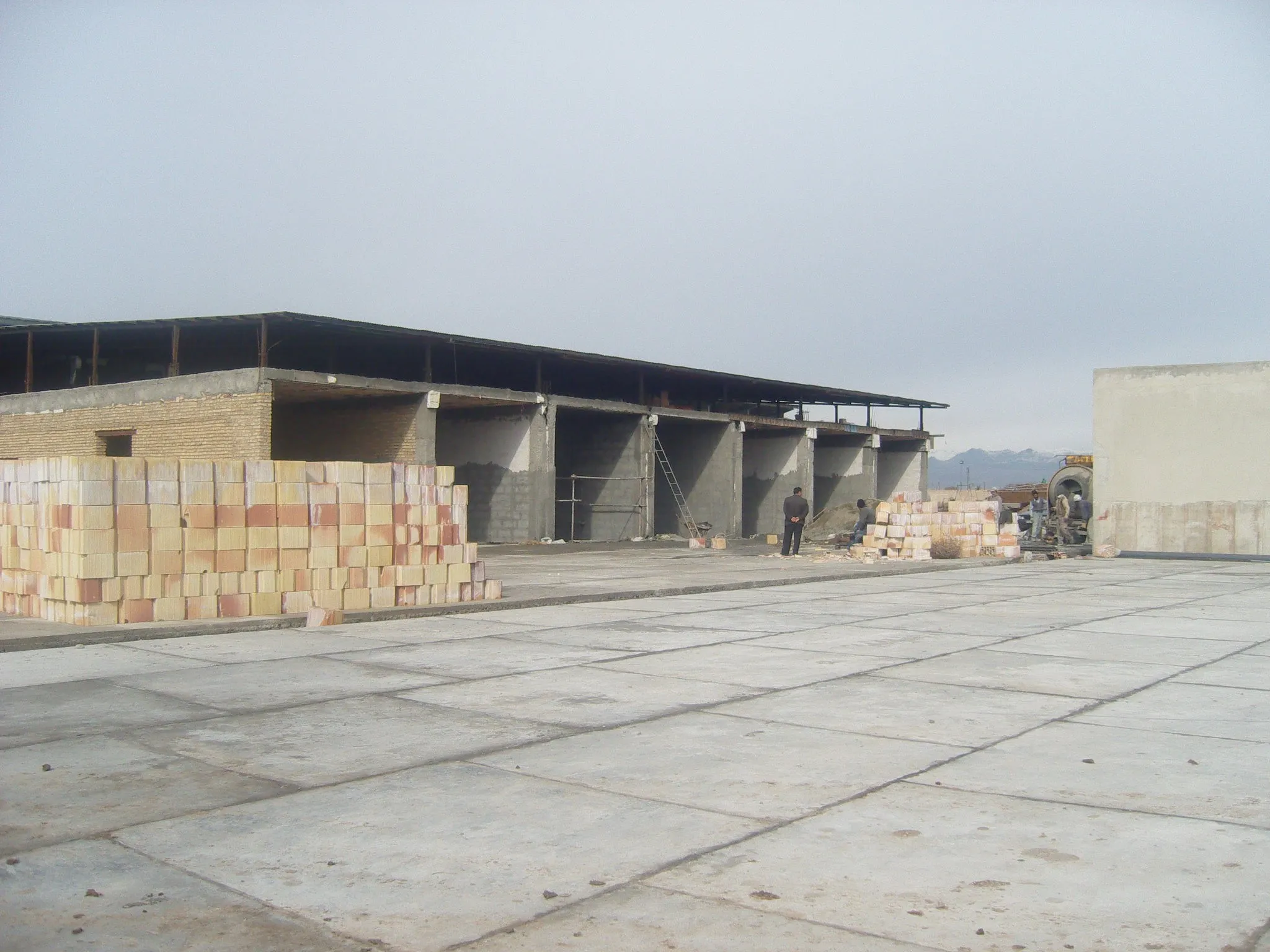 Aluminium shelving in Sadaf grow rooms — portrait view