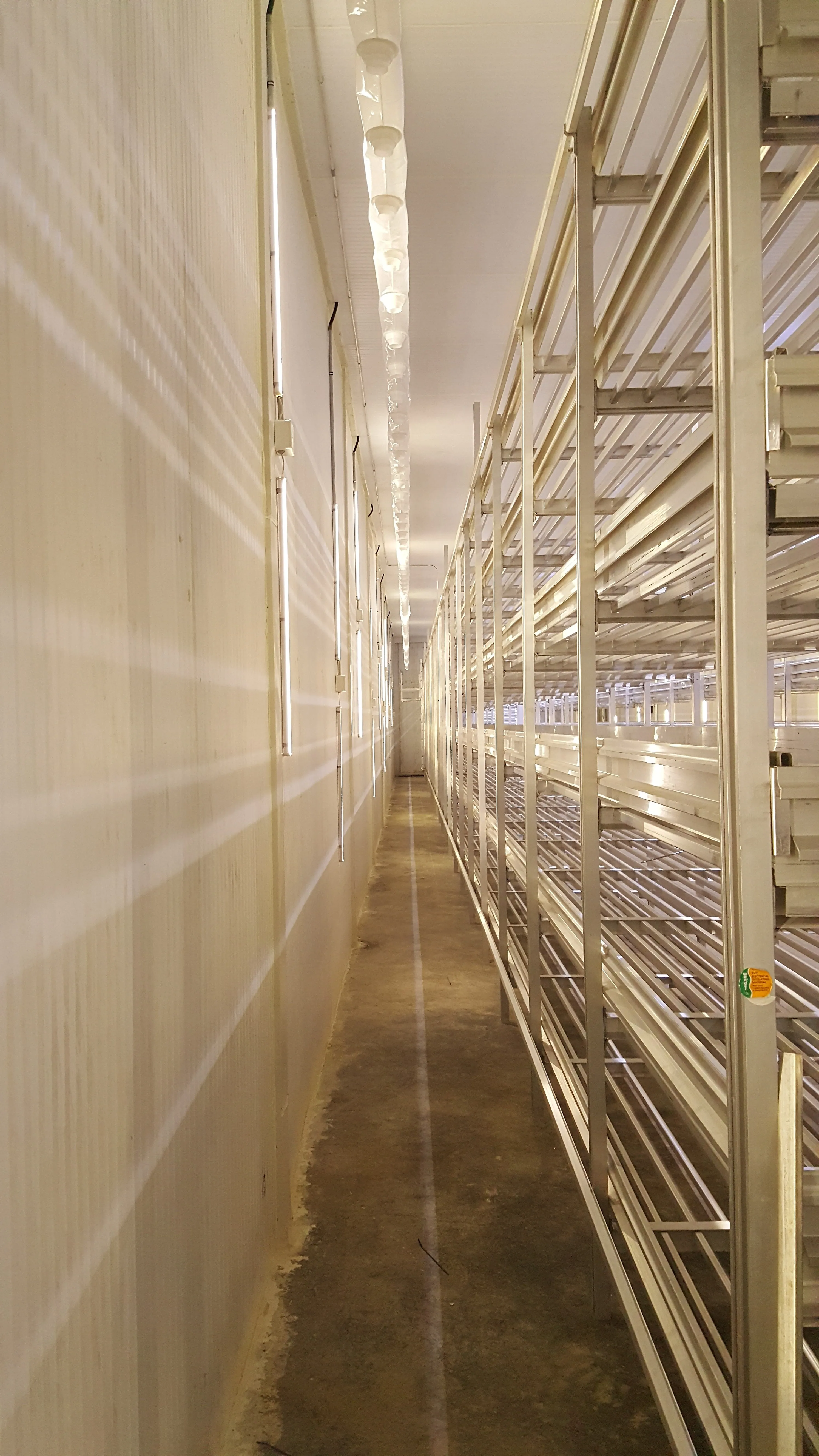 Parsspawn growing racks — wide view across the hall