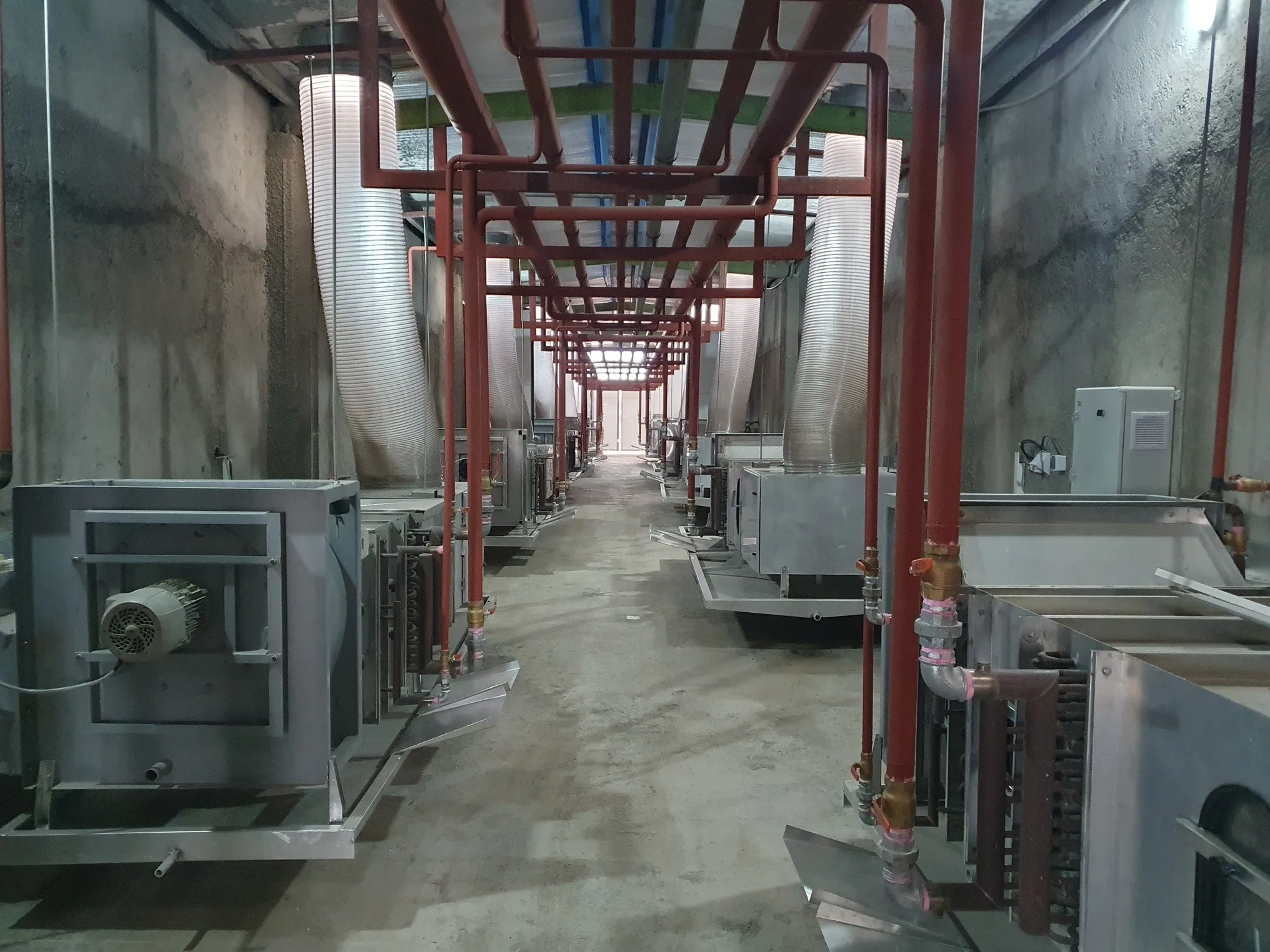 Parsspawn growing racks — wide view across the hall