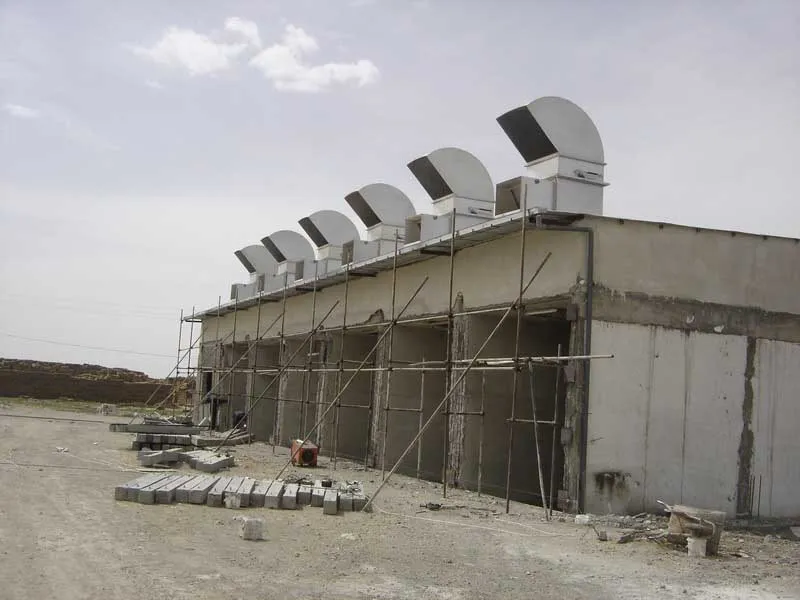 Multi-tier shelving in Sadaf Mushroom — tall view